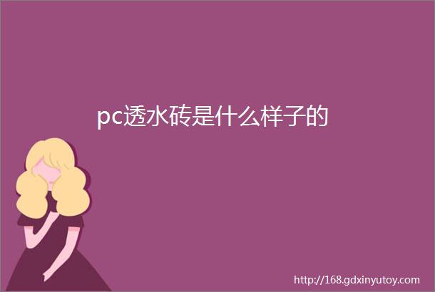 pc透水砖是什么样子的