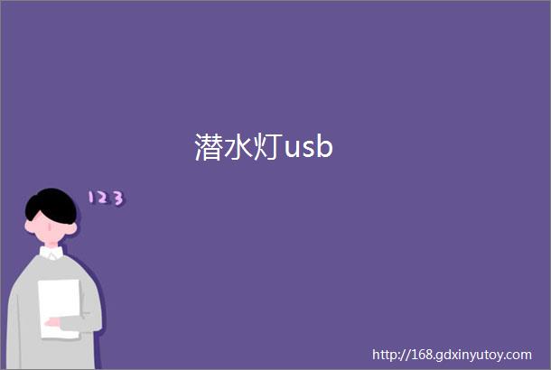 潜水灯usb